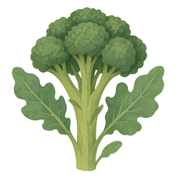 Broccoli