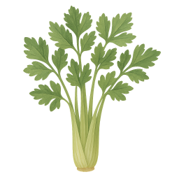 Celery