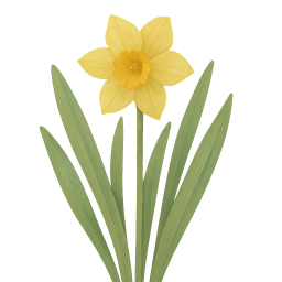 Daffodil