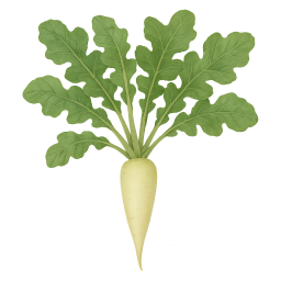 Daikon