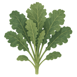 Kale