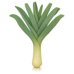 Leek