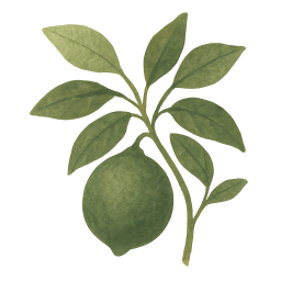Lime