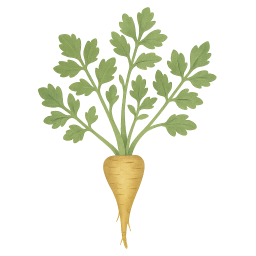 Parsnip