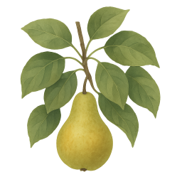 Pear